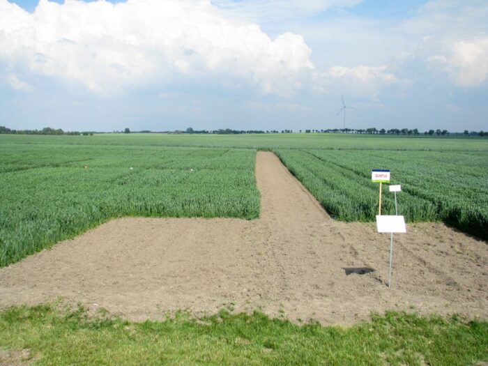 Ustalanie powierzchni gruntów do dopłat bezpośrednich, Ustalanie powierzchni gruntów, dopłaty bezpośrednie, arimr