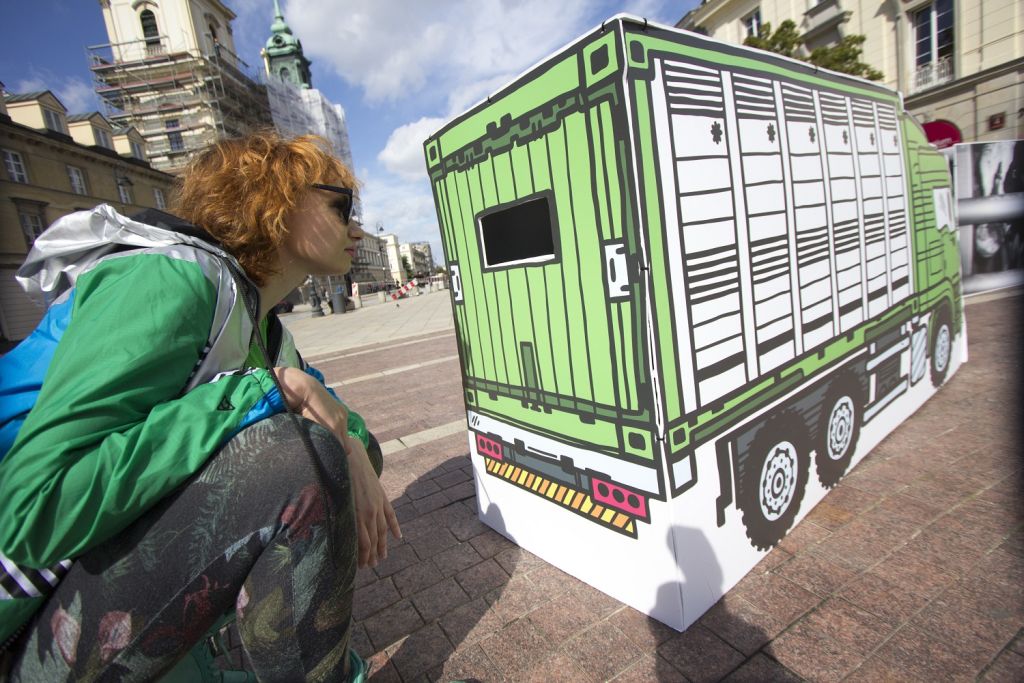 Stop Transportowi Żywych Zwierząt, protest przeciwko długodystansowemu transportowi żywych zwierząt, transport zwierząt