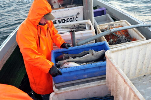 Rybołówstwo, Rybołówstwo morskie, połowy ryb, morze bałtyckie, łowiska morskie, System kontroli rybołówstwa