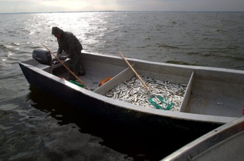 Program Rybactwo i Morze 2014-2020, Ministerstwo Gospodarki Morskiej i Żeglugi Śródlądowej, jerzy materna