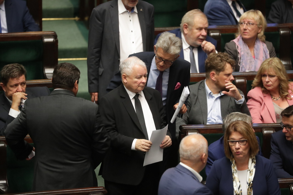 ustawa o ochronie zdrowia zwierząt, sejm, ochrona zwierząt, zwierzęta, ministerstwo rolnictwa, ewa lech, walka z asf