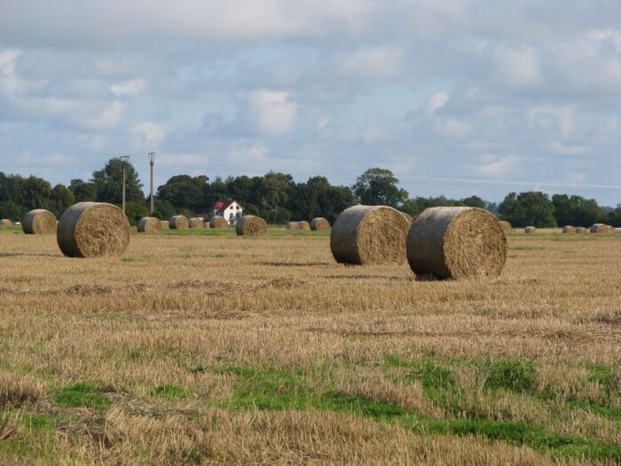 gospodarstwo, Podlasie