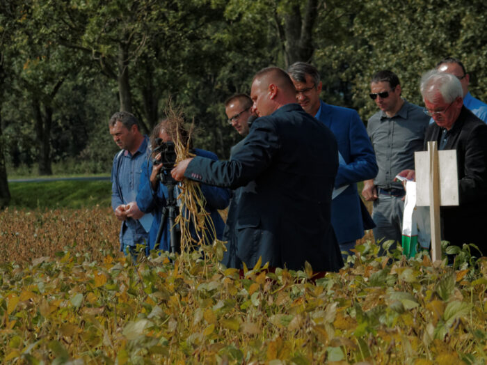 VII Dni Soi w Głubczycach, uprawa soi, głubczyce, COBORU, TOP FARMS, Uniwersytet Przyrodniczy we Wrocławiiu