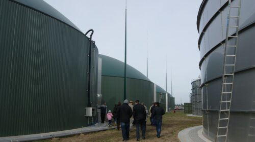 aukcje energii, system aukcyjny, energia elektryczna, urząd regulacji energetyki, biomasa, biogazownia rolnicza