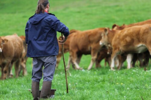 ubezpieczenie społecznerolników, krir, rolnicze emerytury, ministerstwo rolnictwa