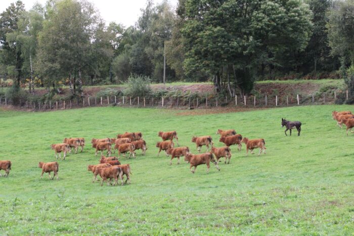 Kanada, zmiany klimatu, Alberta, Manitoba, Saskatchewan