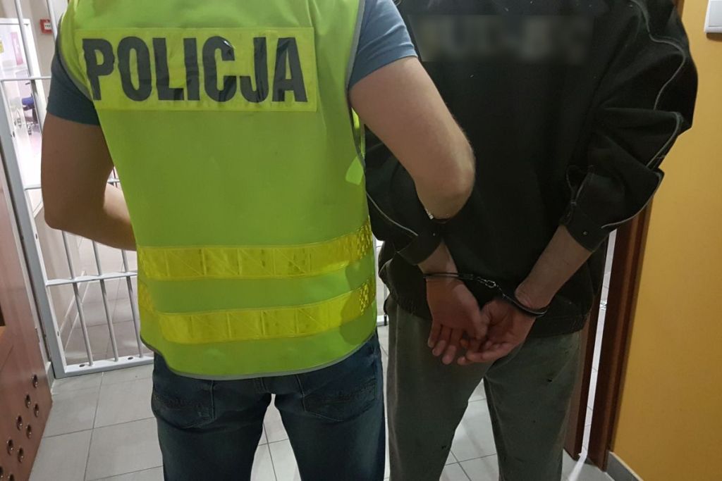 kradzież drewna, drewno, lasy, policja, nowa sól, lubuskie, przestępczość