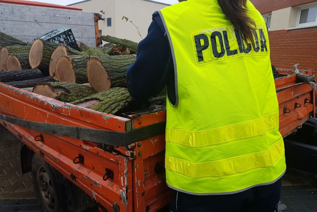 kradzież drewna, drewno, lasy, policja, nowa sól, lubuskie, przestępczość
