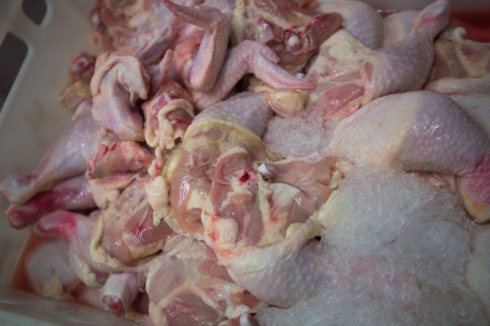 produkcja drobiu, rynek mięsa, komisja europejska