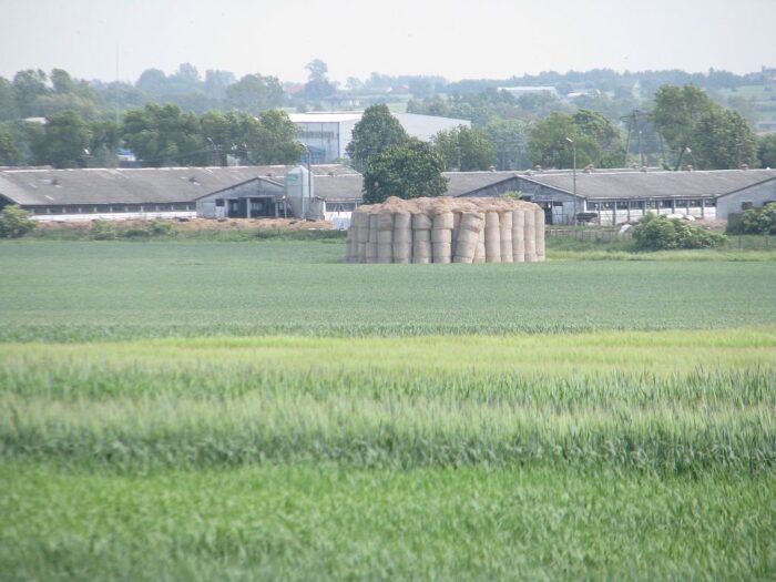 dzierżawa ziemi, ustawa o obrocie ziemią,  nieruchomości rolne Skarbu Państwa, kowr, witold strobel, izby rolnicze