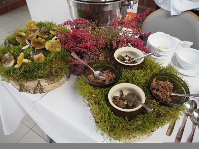 kujawy i pomorze, Przedsiębiorstwo Drobiarskie Drobex w Bydgoszczy, Zespół Szkół Gastronomiczno-Hotelarskich w Toruniu