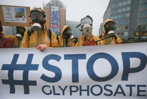 glifoast, monsanto, szkodliwość glifosatu, Europejski Urząd Bezpieczeństwa Żywności, Europejska Agencja Chemikaliów