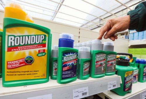 glifoast, monsanto, szkodliwość glifosatu, Europejski Urząd Bezpieczeństwa Żywności, Europejska Agencja Chemikaliów