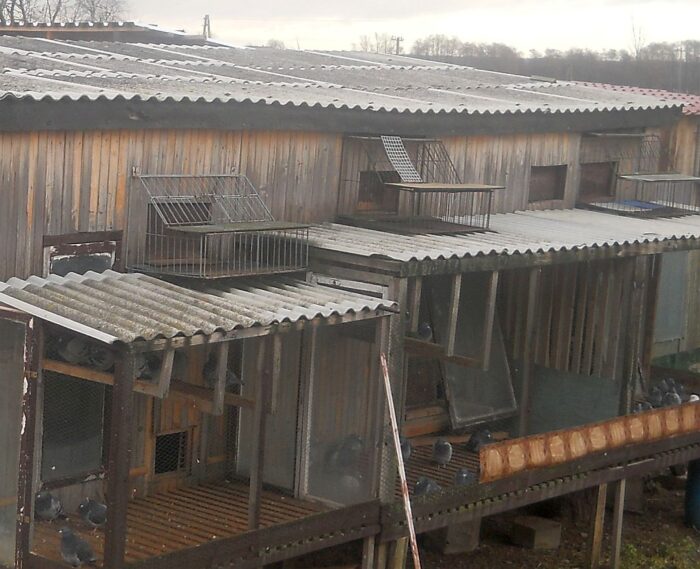 pożar gołębnika, przestępczość, podpalenie altany, morąg, warmia i mazury