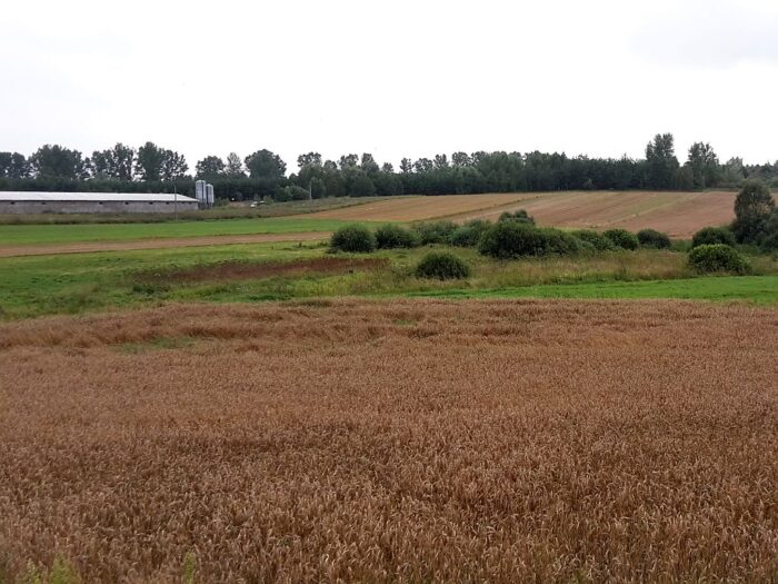 hektar przeliczeniowy, dochody w rolnictwie, gus, gospodarstwo rolne