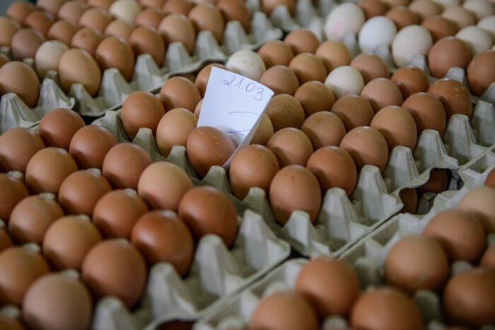 jaja spożywcze, jaja konsumpcyjne, Instytut Ekonomiki Rolnictwa i Gospodarki Żywnościowej