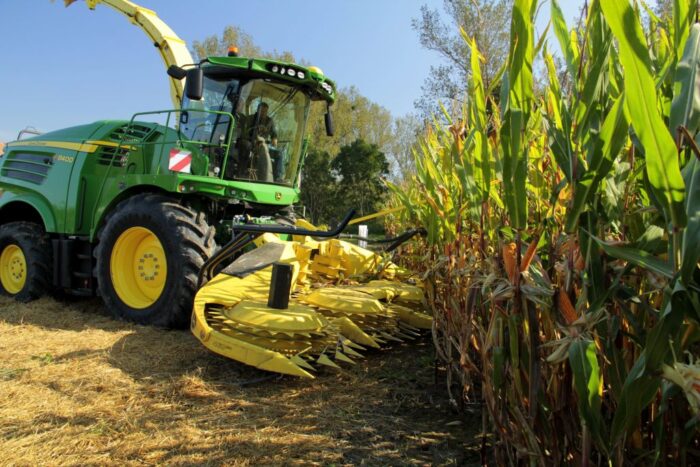 zbiór kukurydzy, sieczkarnia, Podlaskie Kolbobranie