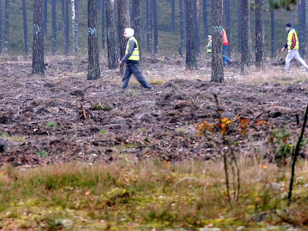 prawo łowieckie, szkody łowieckie, ministerstwo środowiska, Polski Związek Łowiecki