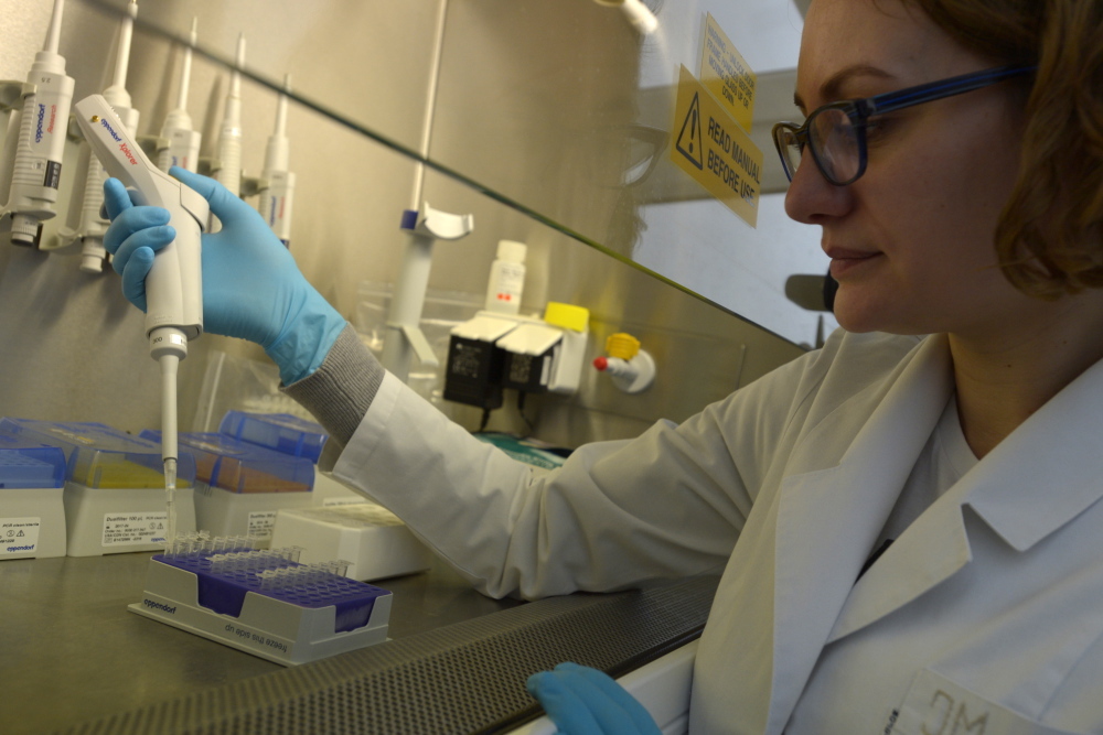 dopłaty do materiału siewnego, Agencja Rynku Rolnego, materiał siewny