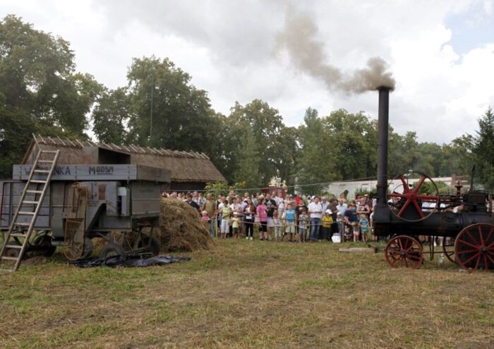 muzeum w Ciechanowcu, młocarnia, lokomobila