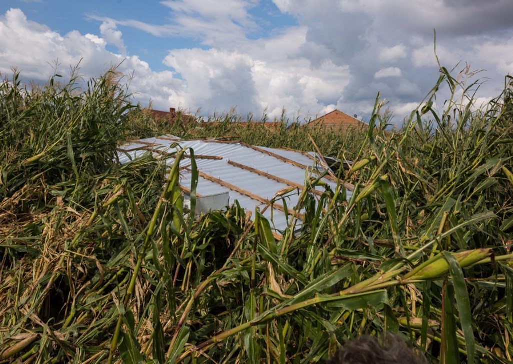 gradobicie, deszcz nawalny, susza, huragan