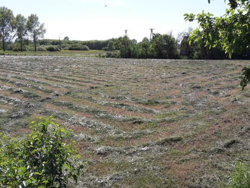 dopłaty bezpośrednie, działki do dopłat, powierzchnia upraw, areał upraw, wnioski o dopłaty, arimr