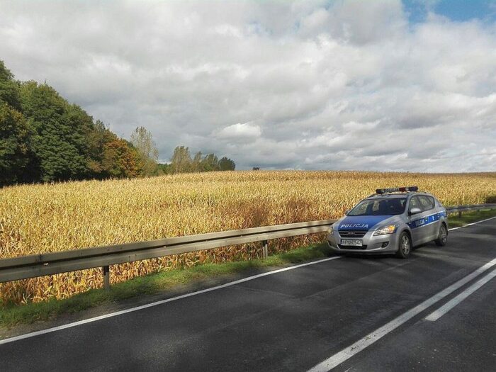 policja, wielkopolska, kościan, gmina Śmigiel, kradzież kamieni z pola