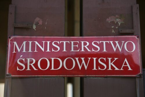 puszcza białowieska, wycinka puszczy białowieskiej, jan szyszko, ministerstwo środowiska, komisja europejska