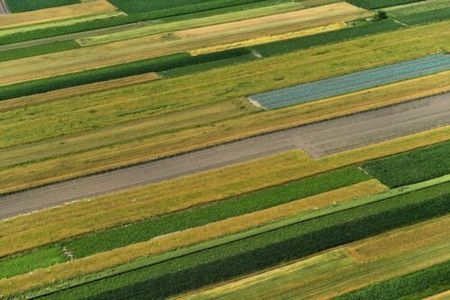 scalanie gruntów, scalanie, dojazd do pól, łączenie działek, świętokrzyskie, prow 2014-2020