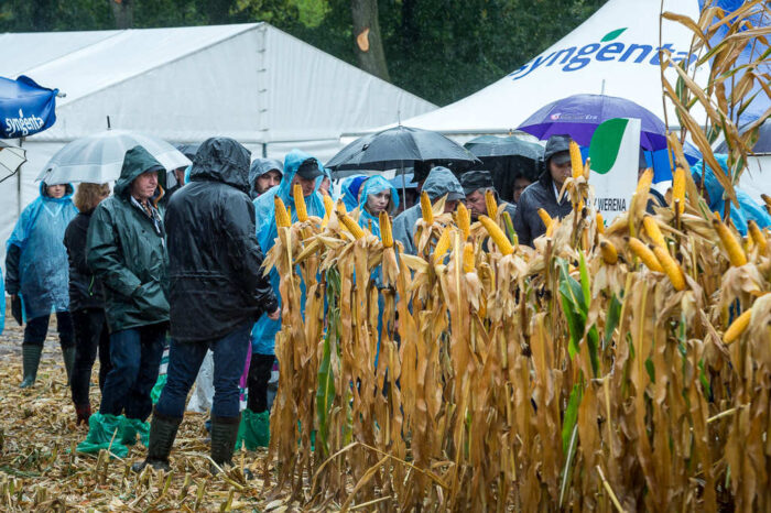 mojeINFOPOLE, Syngenta, raport o zagrożeniach, Syngenta Agriclub, NieWylegaj, ochrona roślin, kalkulator siewu