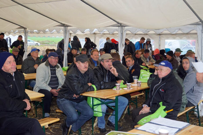 Magiczna kukurydza, Kociugi