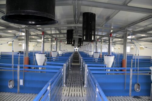 Ryszard bartosik, sejmowa komisja rolnictwa, tucz kontraktowy,produkcja trzody chlewnej