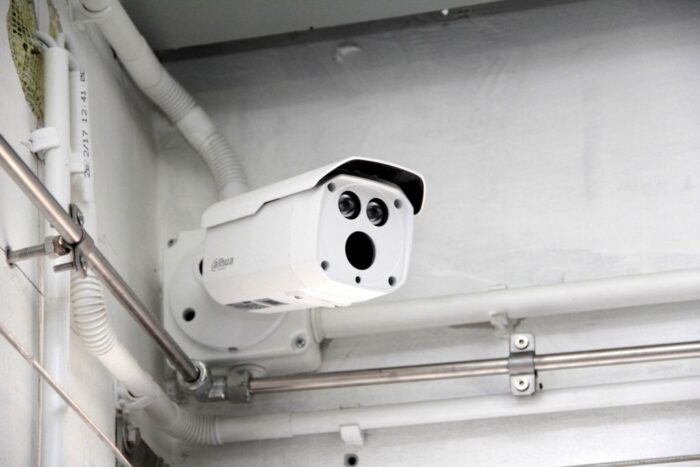 tuczarnia pod kontrakt, trzoda chlewna,