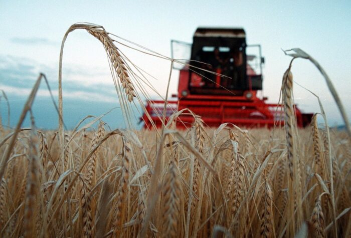 Światowy Indeks Bezpieczeństwa Żywnościowego, ranking bezpieczeństwa żywnościowego, produkcja żywności, żywność
