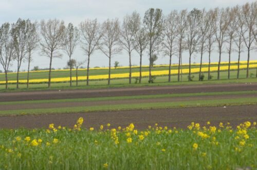 odszkodowanie za zabraną ziemię, Sąd Apelacyjny w Białymstoku, skarb państwa