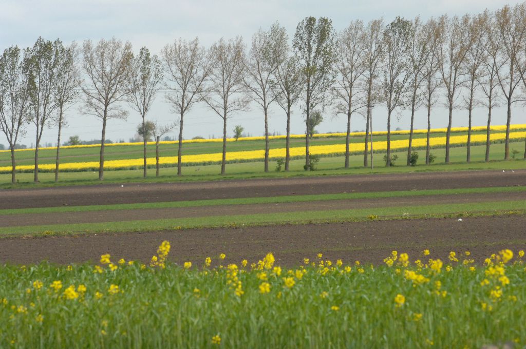 odszkodowanie za zabraną ziemię, Sąd Apelacyjny w Białymstoku, skarb państwa