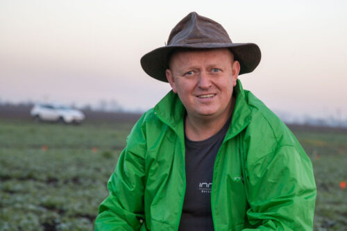 Andrzej Brachaczek, Innvigo