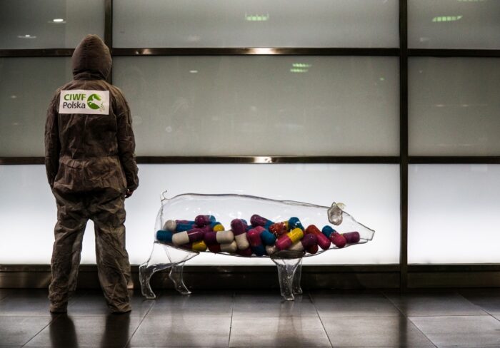 antybiotyki w leczeniu zwierząt, antybiotykooporność, zużycie antybiotyków, zwierzęta hodowlane