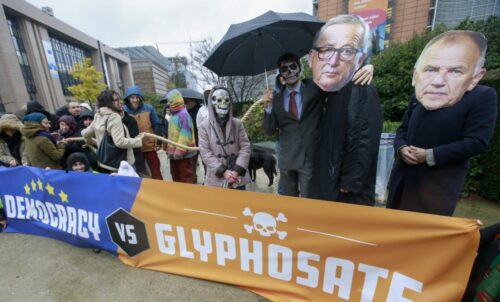 glifosat, monsanto, szkodliwość glifosatu, licencja na stosowanie glifosatu, herbicyd Roundup, niemcy, koalicja spd-cdu