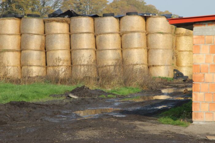 budżet, ustwa, prawo, sejmowa komisja rolnictwa, pieniądze, rolnictwo
