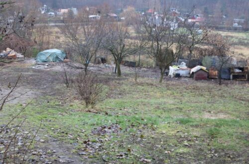 hodowla psów, chełmno, kujawy i pomorze, ogródki działkowe Nad Browiną, psy w stanie rozkładu