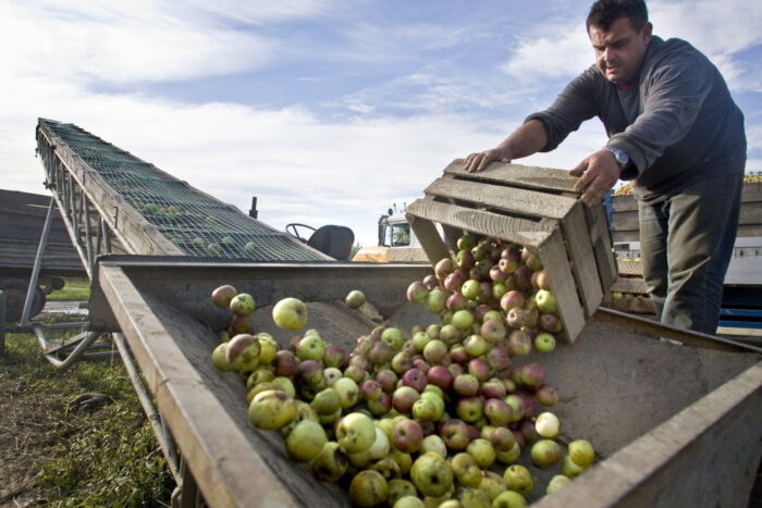 hortex, Mid Europa Partners, Argan Capital, uokik, rynek spożywczy, produkty szybko zbywalne