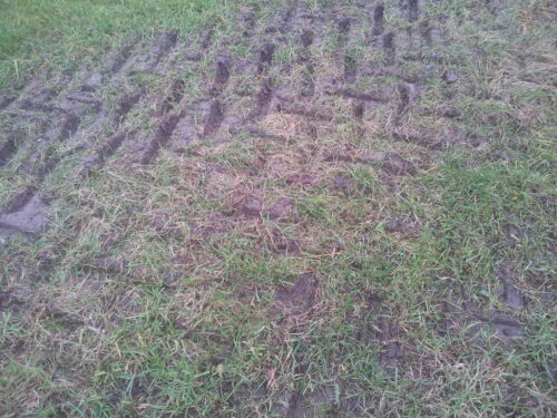 koleiny, gleba, pole, powiat moniecki