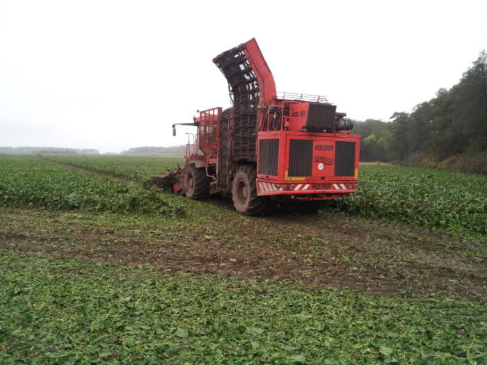 kombajn, pole, buraki, zbiór, liście buraków