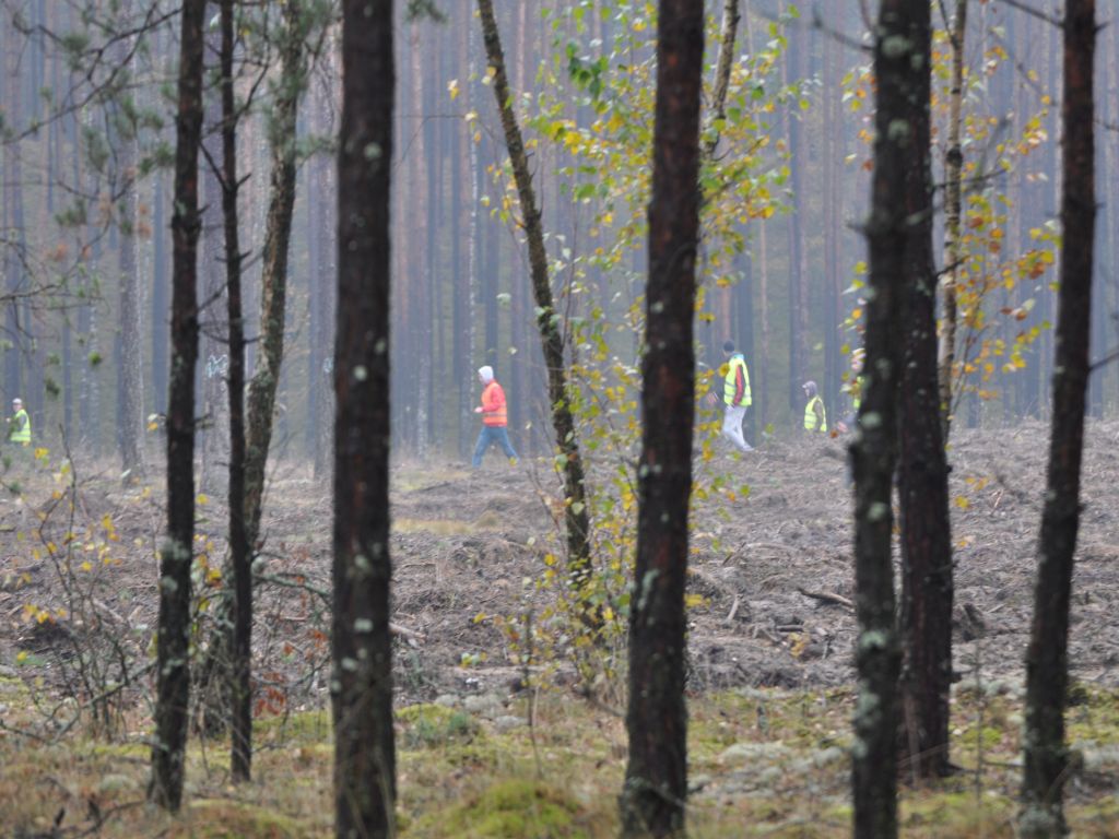 warszawa, mazowsze, gmina legionowo, szukanie padłych dzików, walka z asf, wojsko, mon