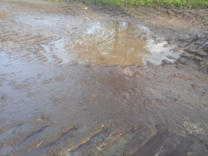 azot od 1 marca, nawożenie wiosną ozimin, zastoiska wodne, wysokie uwilgotnienie gleby, roztopy, program azotanowy,