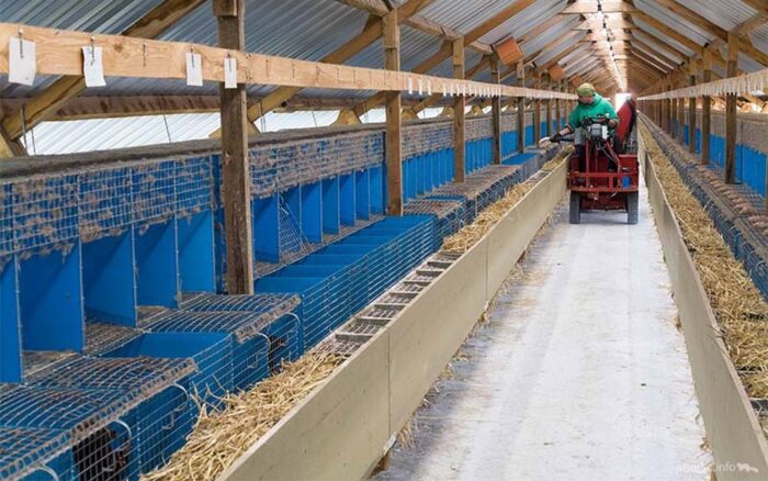 zakaz hodowli zwierząt futerkowych, rolnictwo, zakaz uboju rytualnego, prawo, przepisy, PiS