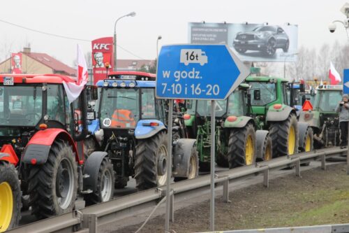 protest rolników, ASF, Sławomir Izdebski, afrykański pomór świń, marsz gwiaździsty na Warszawę