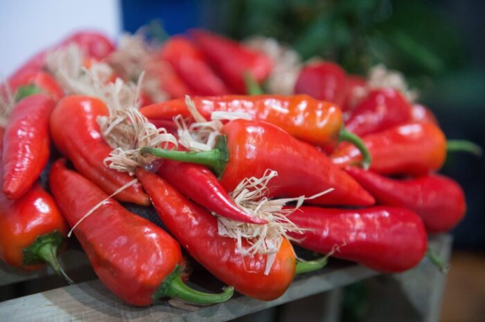 ekożywność, produkcja żywności ekologicznej, znakowanie ekożywności, dystrybucja ekożywności