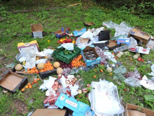 puszcza knyszyńska, Nadleśnictwo Czarna Białostocka, śmieci w lesie, zaśmiecanie lasu, rynek w Sokółce